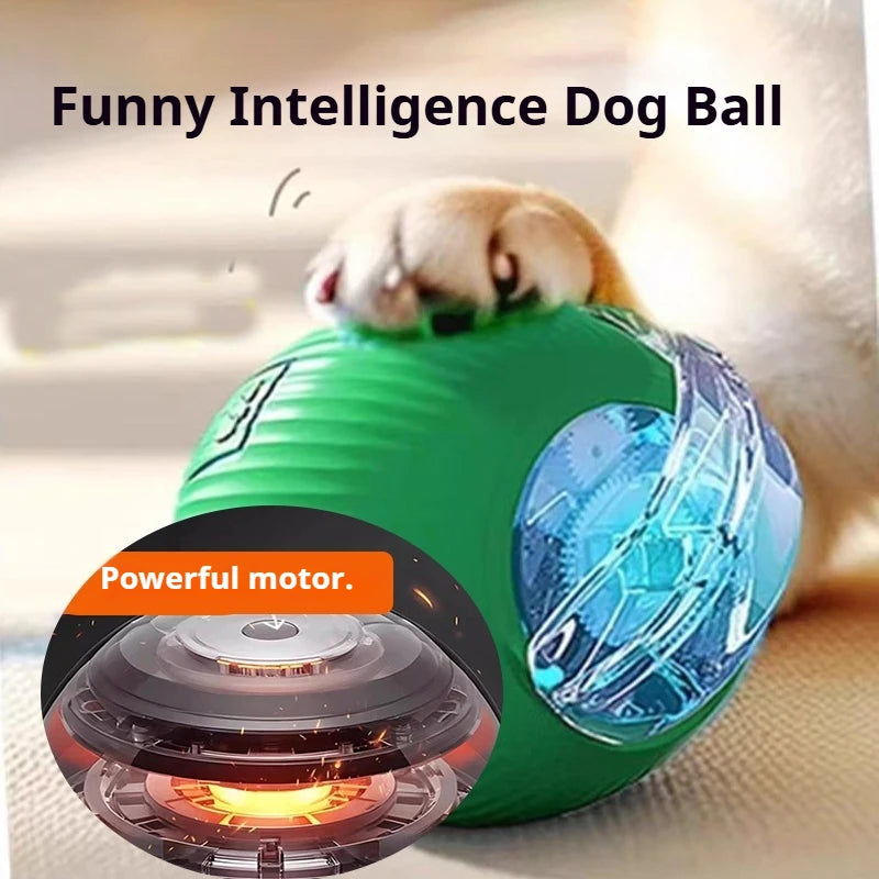 RollSmart Interactive Dog Play Ball